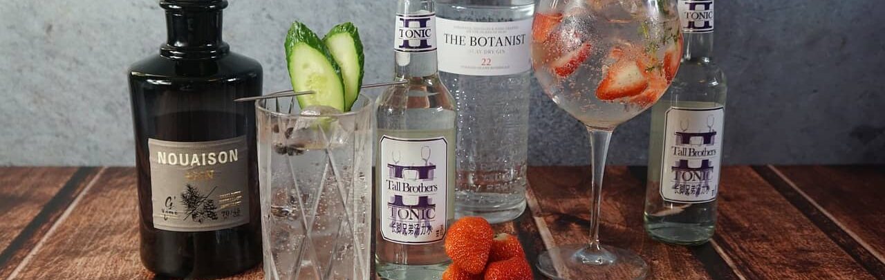 Gin - Tonic